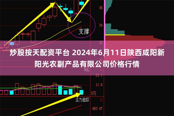 炒股按天配资平台 2024年6月11日陕西咸阳新阳光农副产品有限公司价格行情