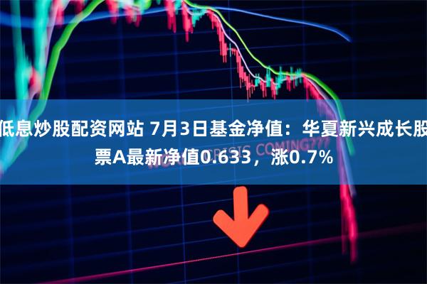 低息炒股配资网站 7月3日基金净值：华夏新兴成长股票A最新净值0.633，涨0.7%