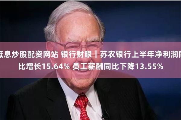 低息炒股配资网站 银行财眼｜苏农银行上半年净利润同比增长15.64% 员工薪酬同比下降13.55%