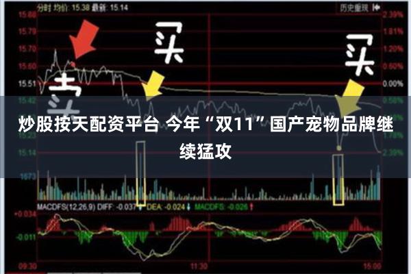 炒股按天配资平台 今年“双11”国产宠物品牌继续猛攻