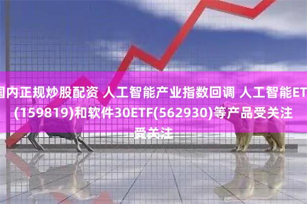 国内正规炒股配资 人工智能产业指数回调 人工智能ETF(159819)和软件30ETF(562930)等产品受关注