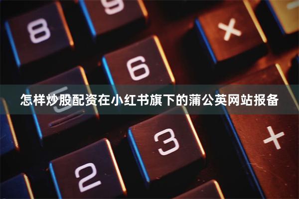 怎样炒股配资在小红书旗下的蒲公英网站报备